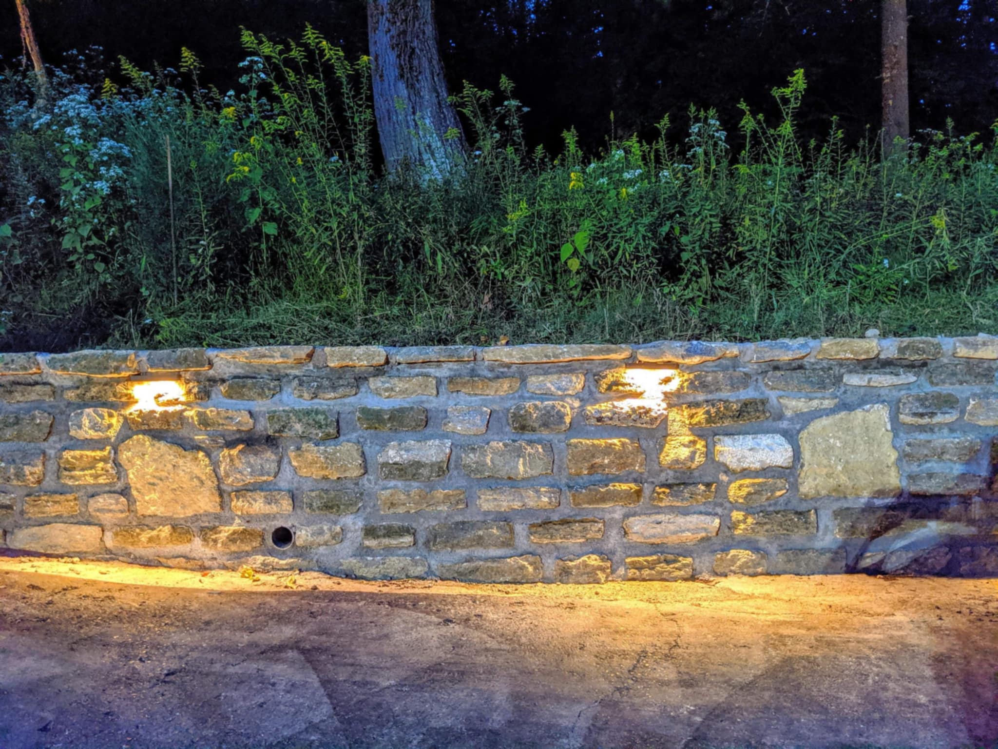 Stone retaining wall with integrated lights and dense plants at night